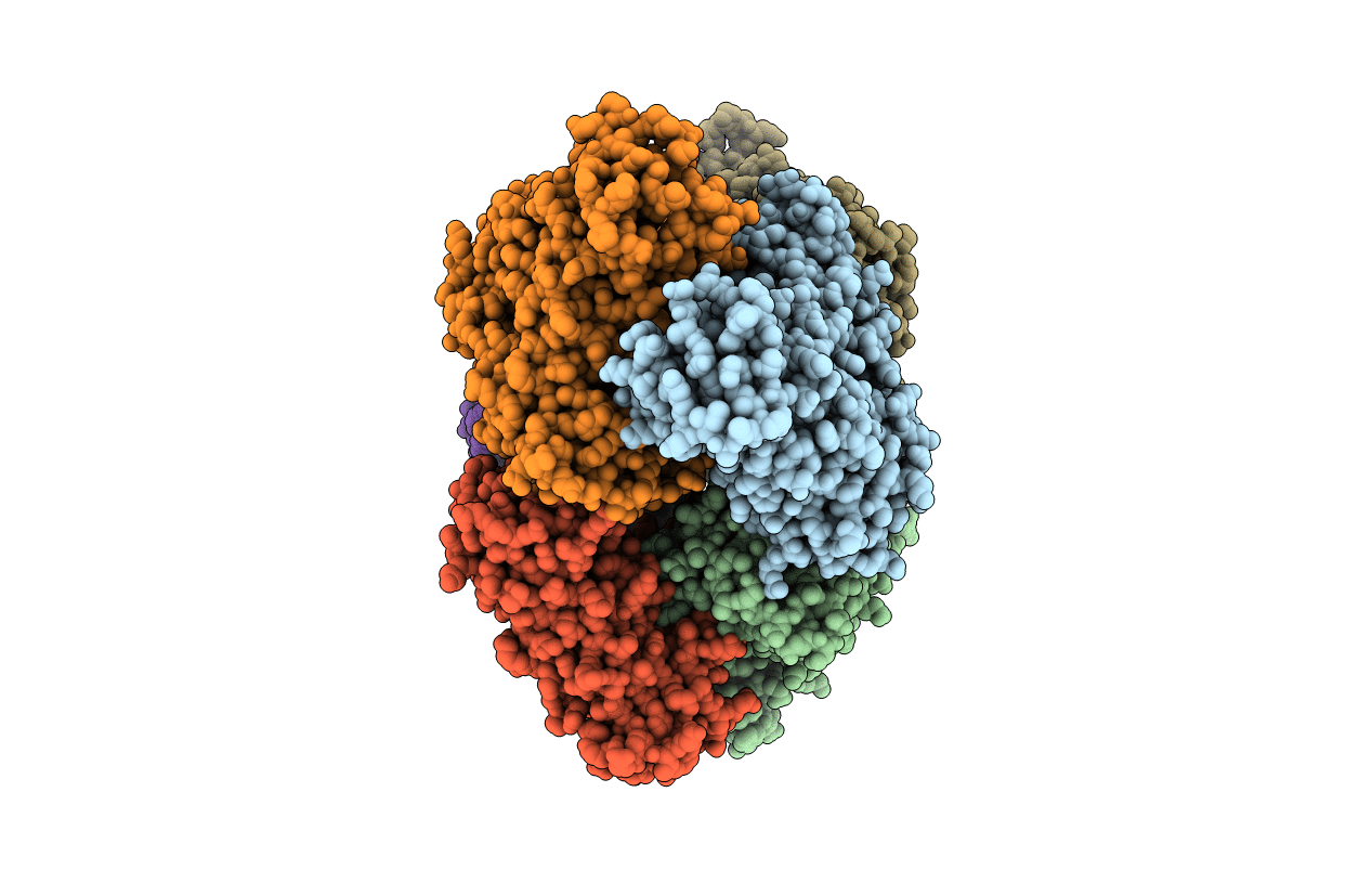 3N7Z image