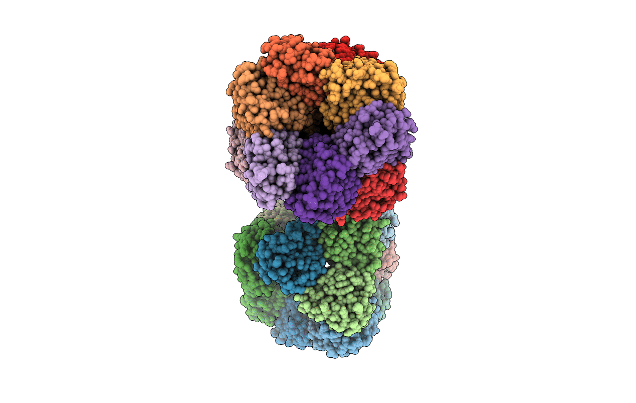 3N86 image
