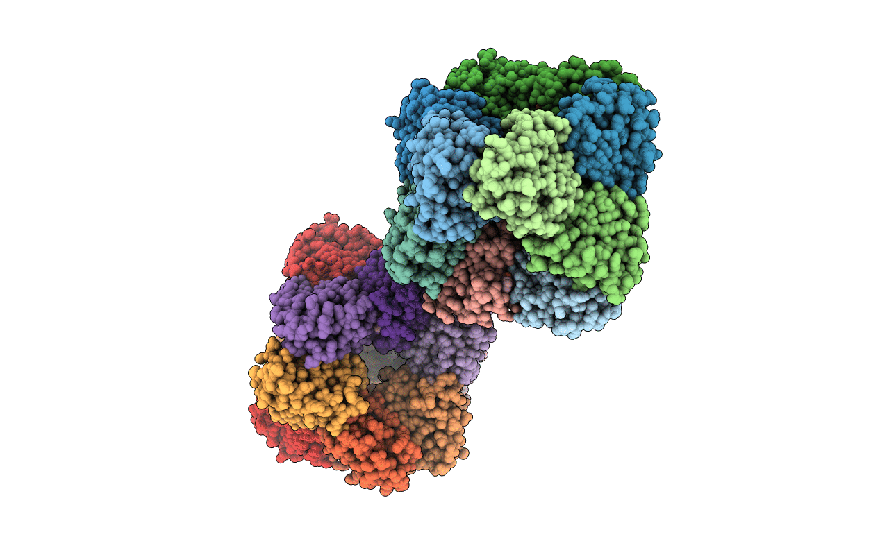 3N87 image