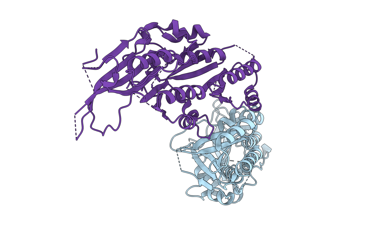 3N89 image