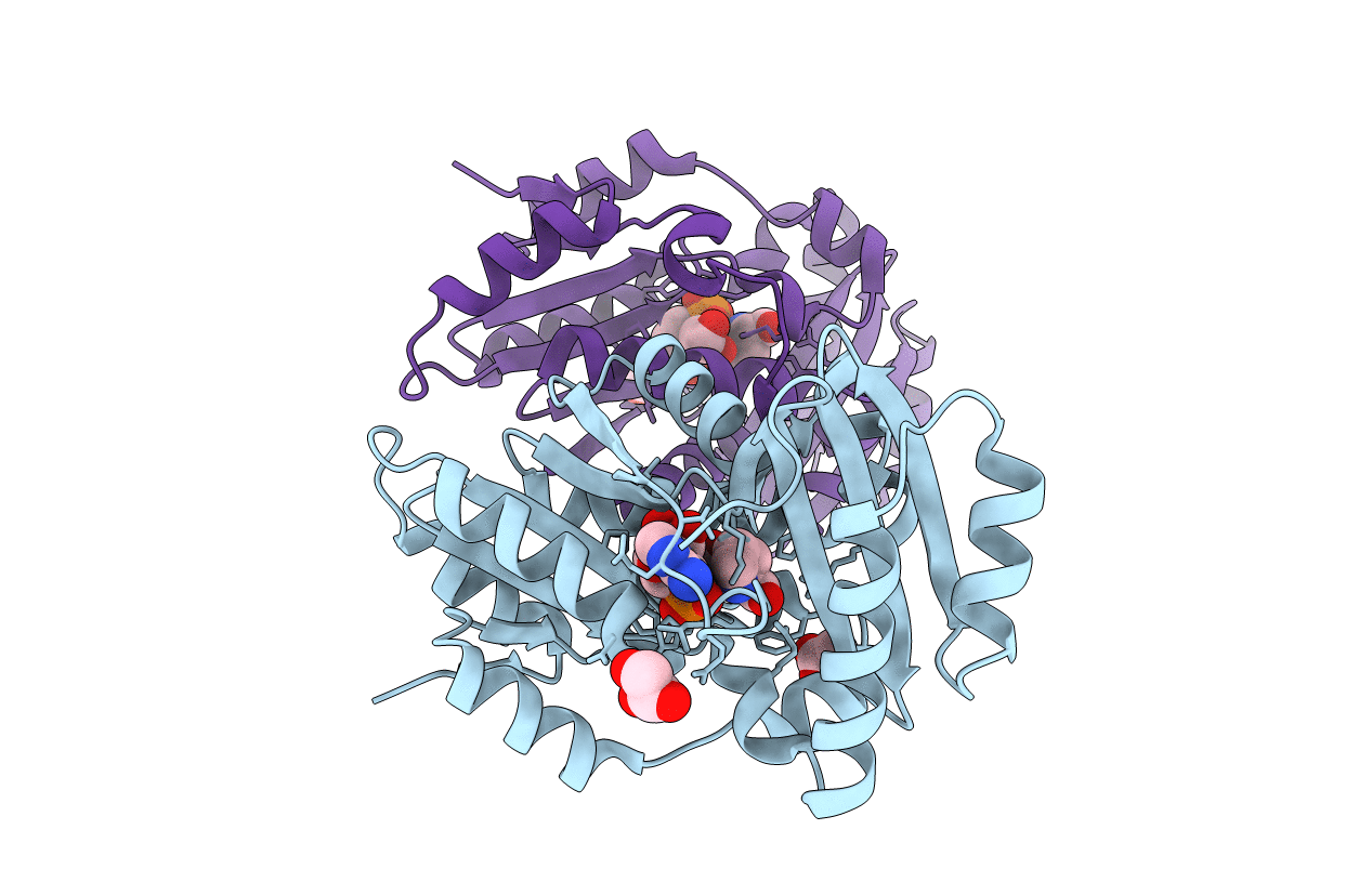 3N8H image