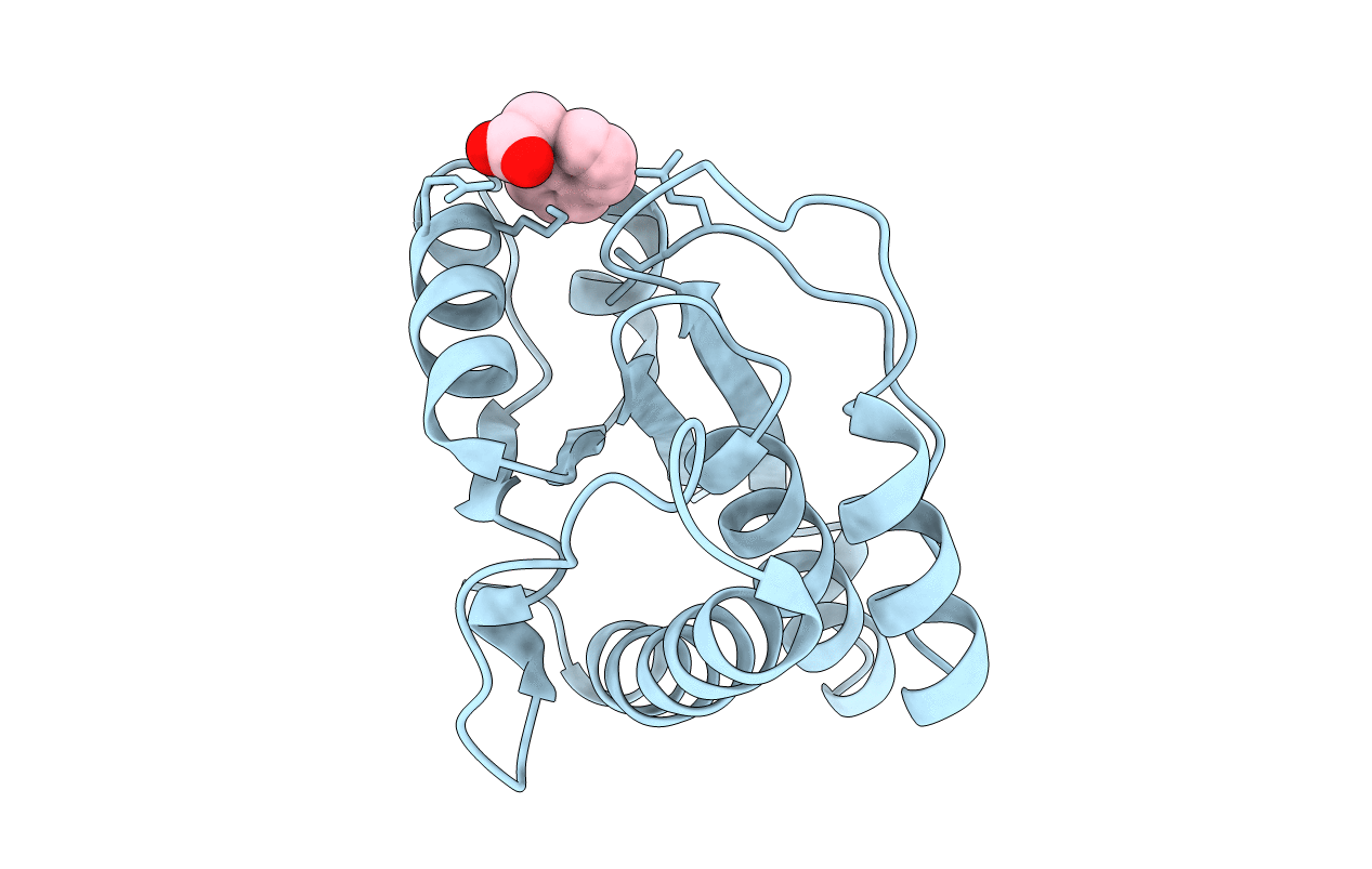 3N8I image