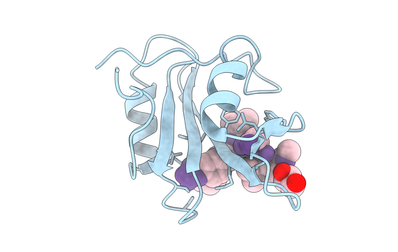 3N8M image