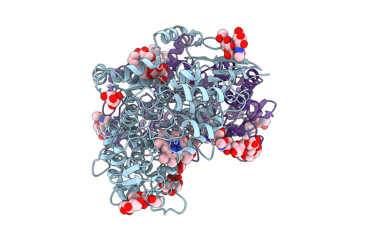 3N8V image