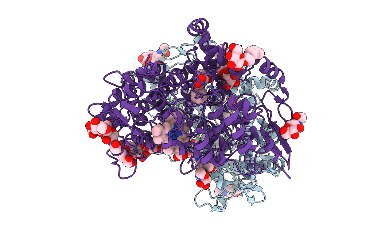 3N8X image