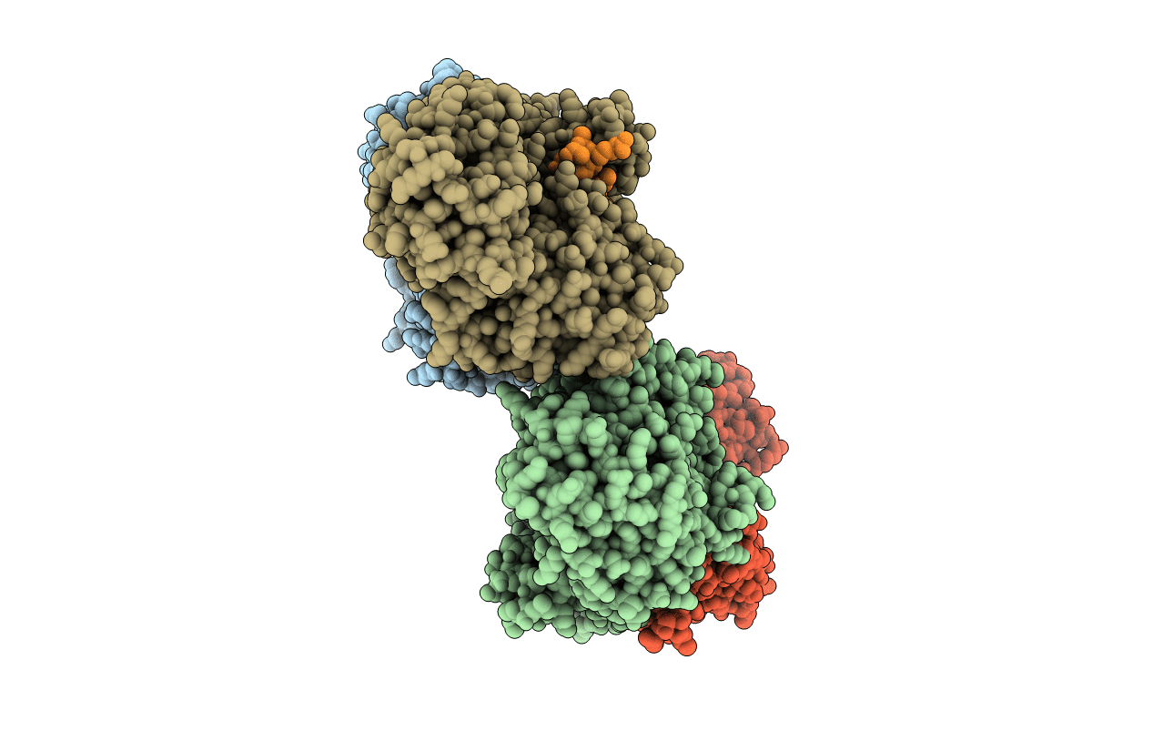 3N95 image