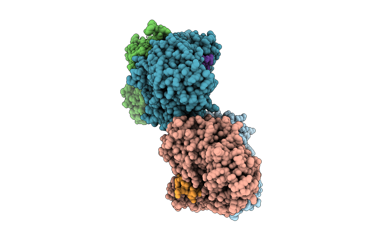 3N96 image
