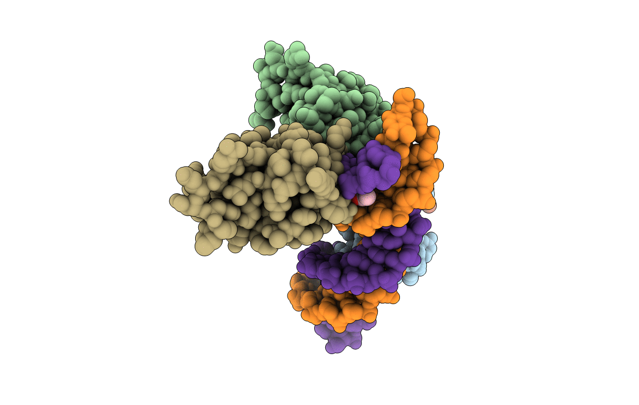 3N97 image