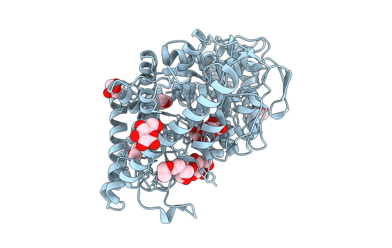 3N98 image