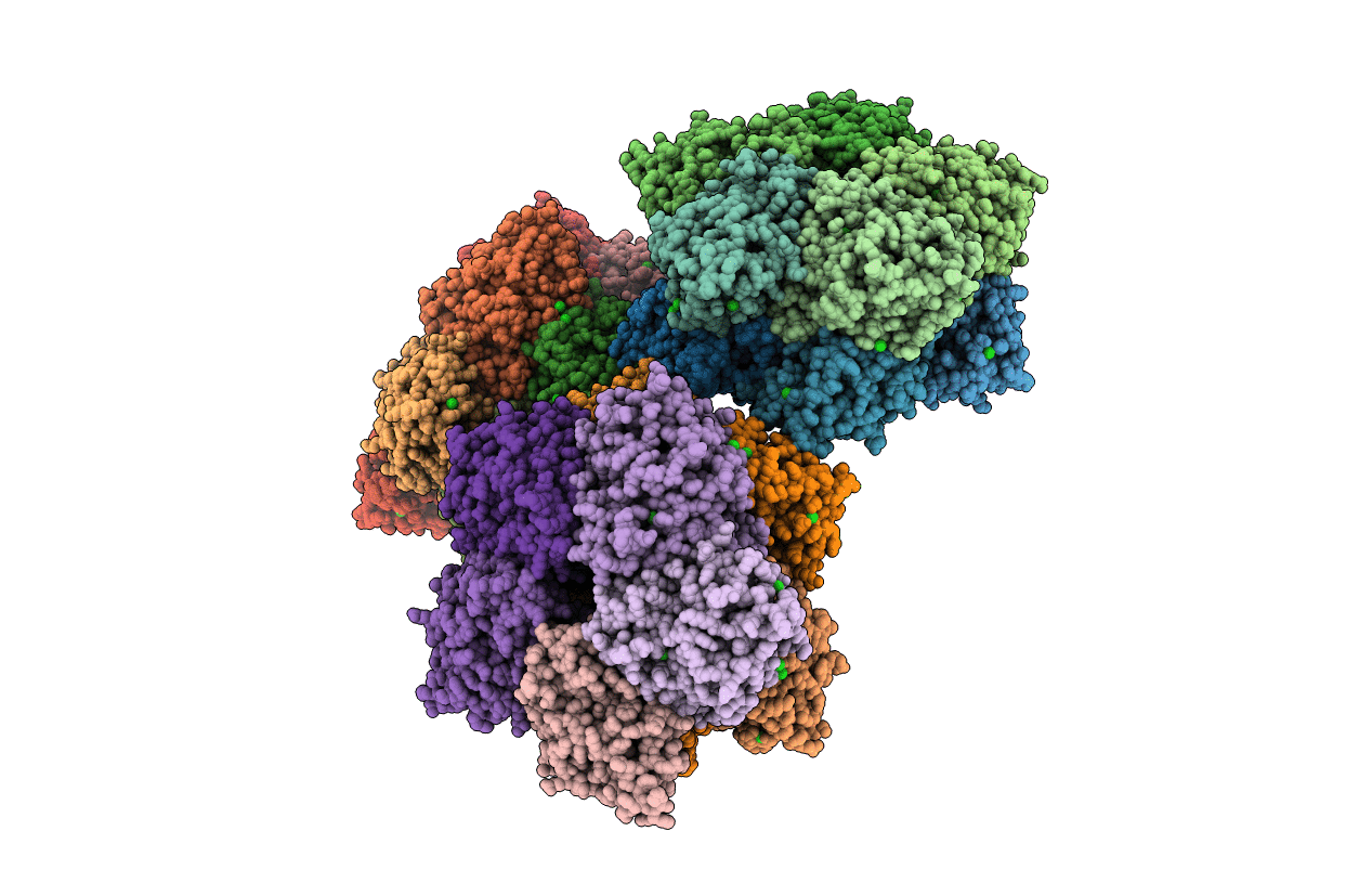 3N99 image