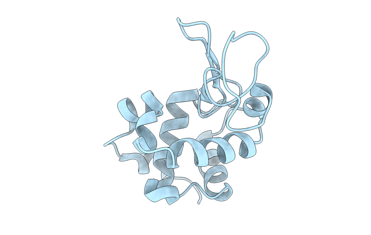 3N9C image