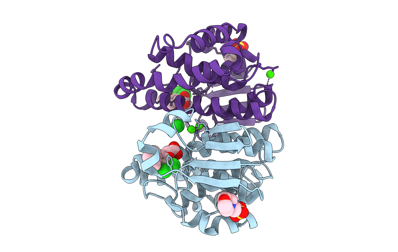 3N9J image