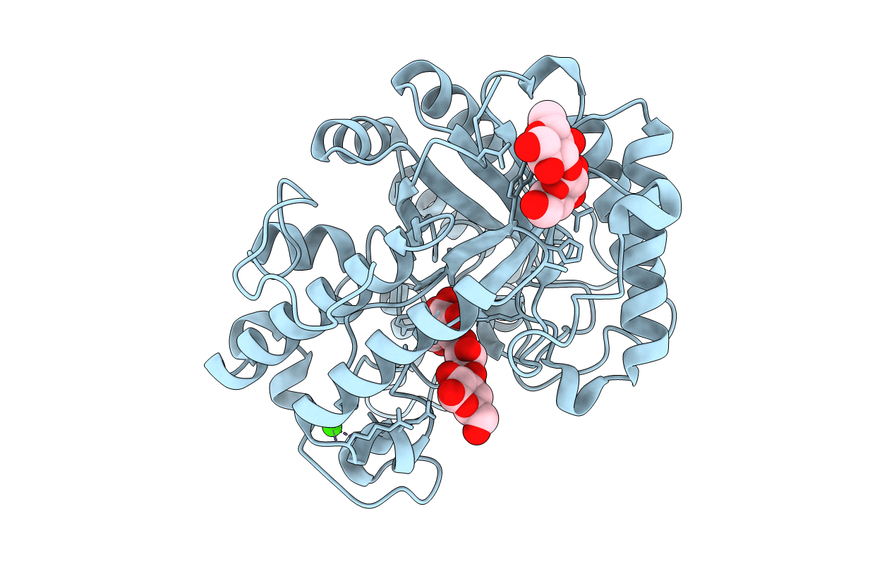 3N9K image