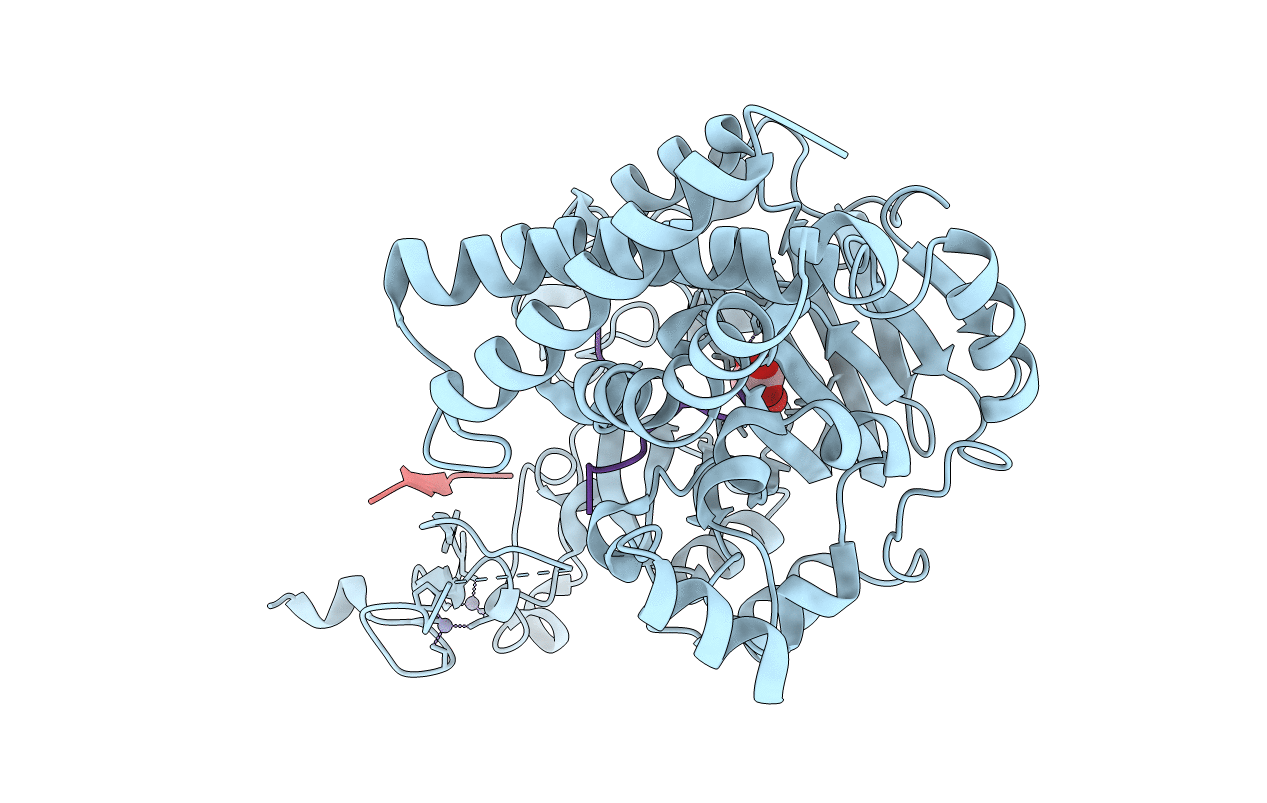 3N9P image