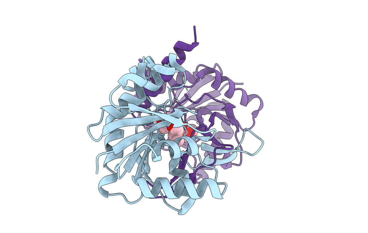 3N9W image