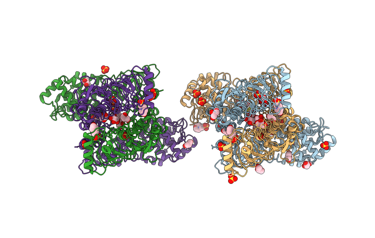 3NB2 image