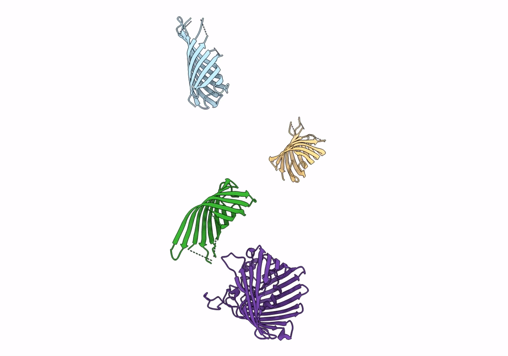 3NB3 image