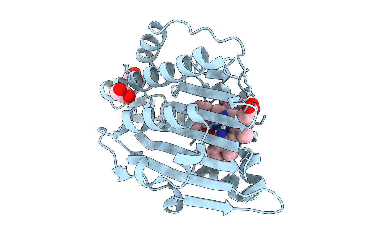 3NB9 image