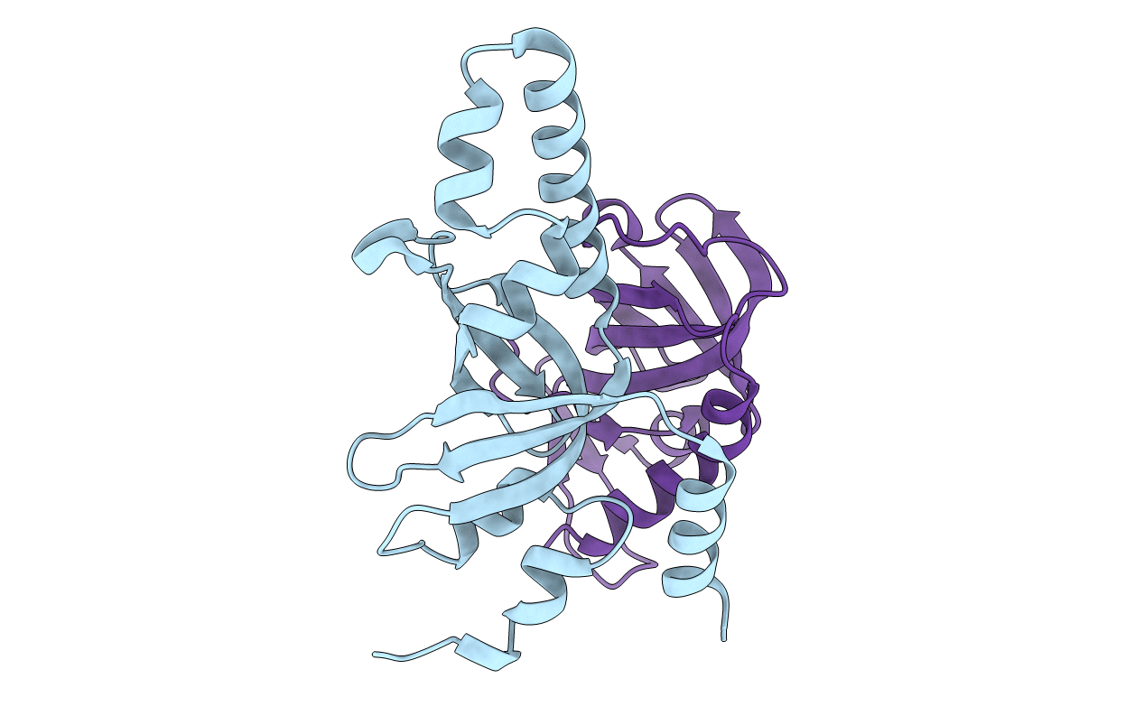 3NBH image