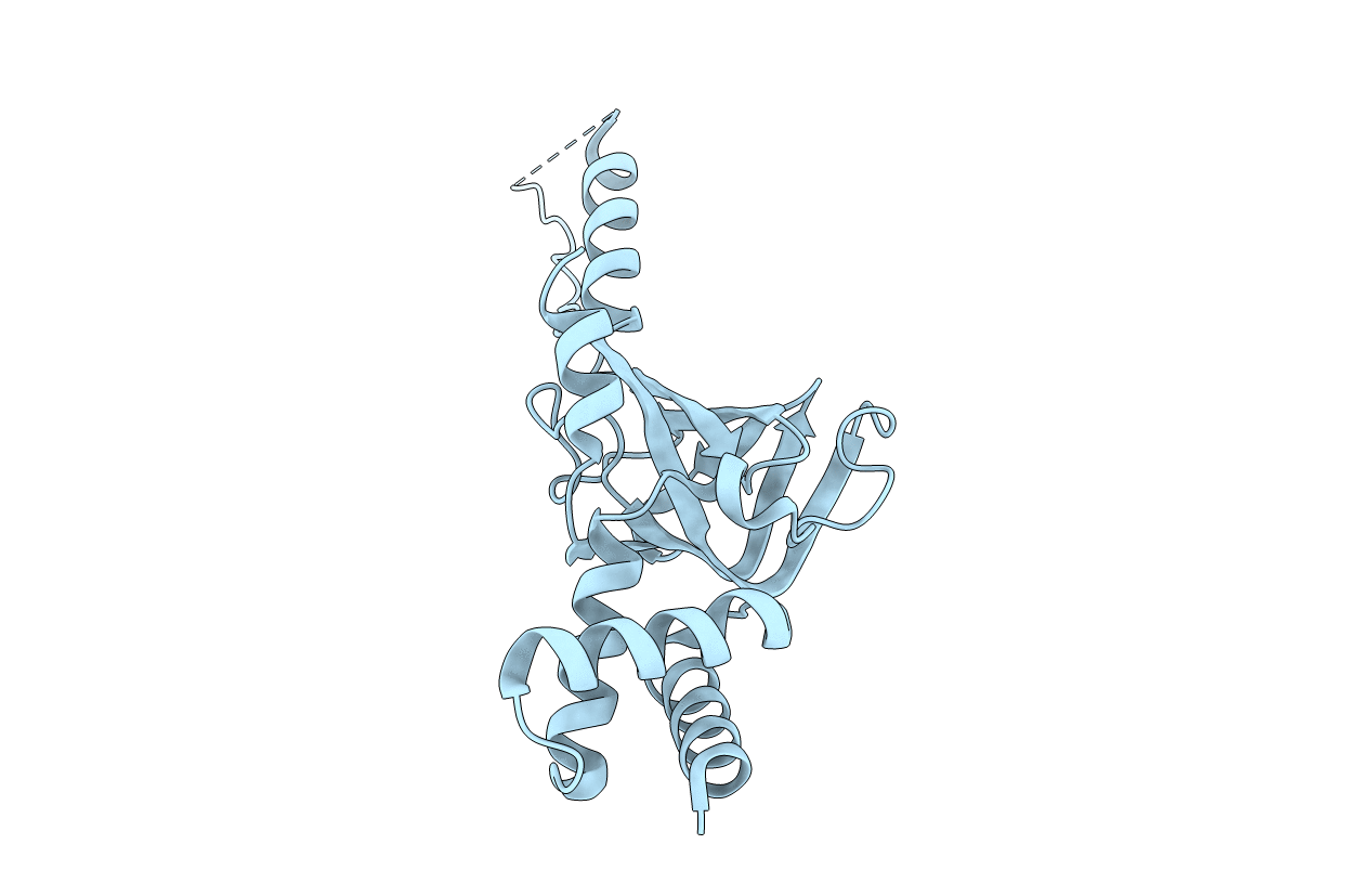 3NBI image
