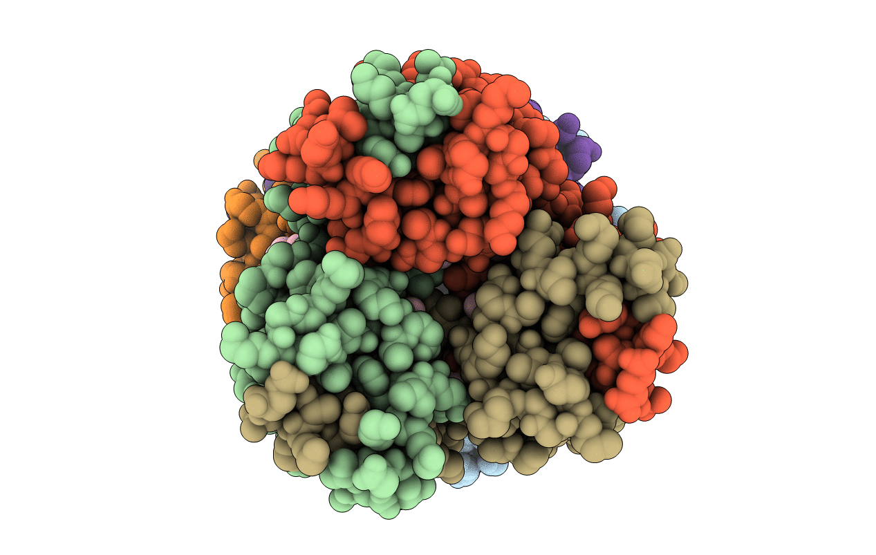 3NBT image