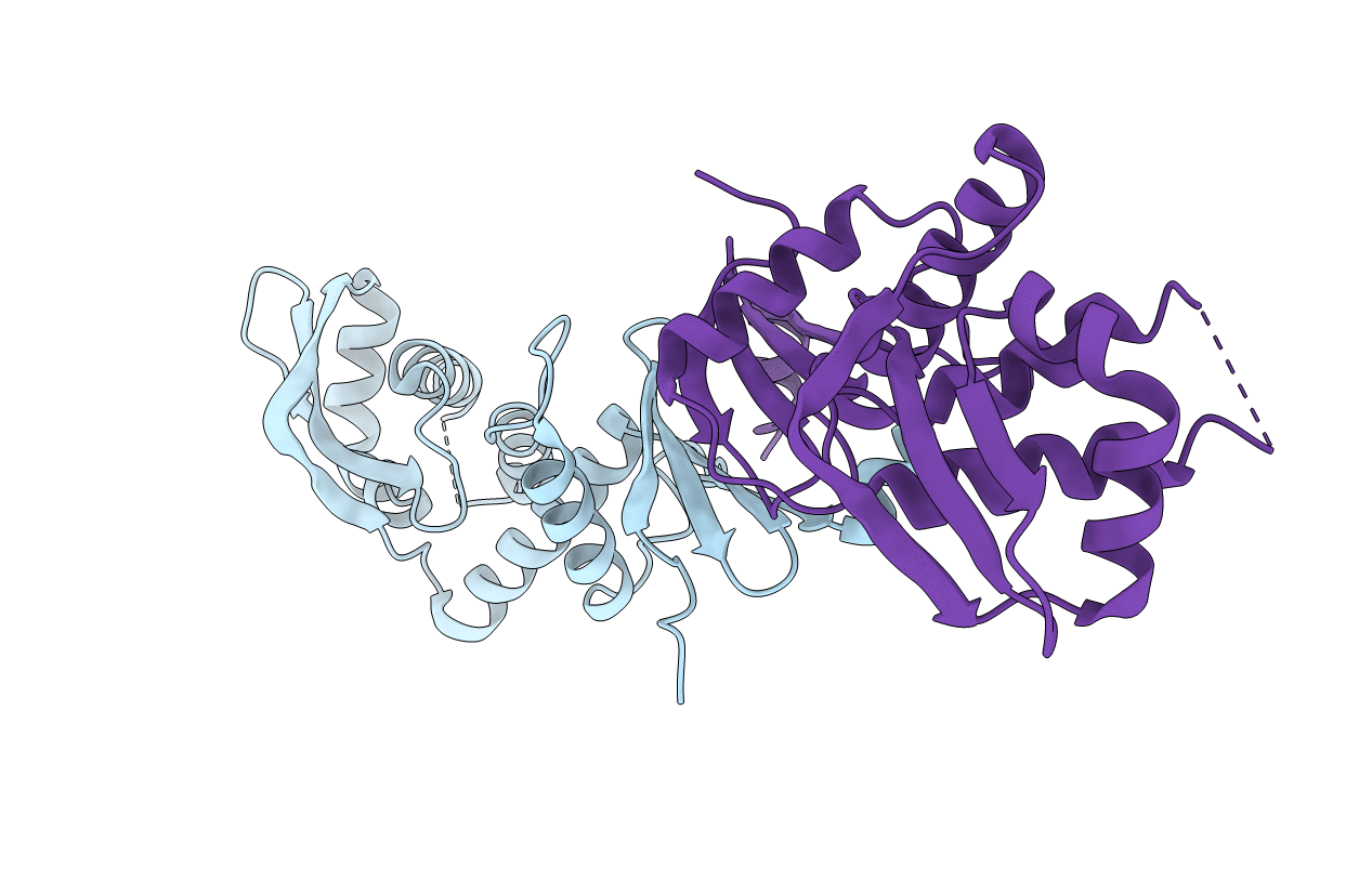 3NCV image