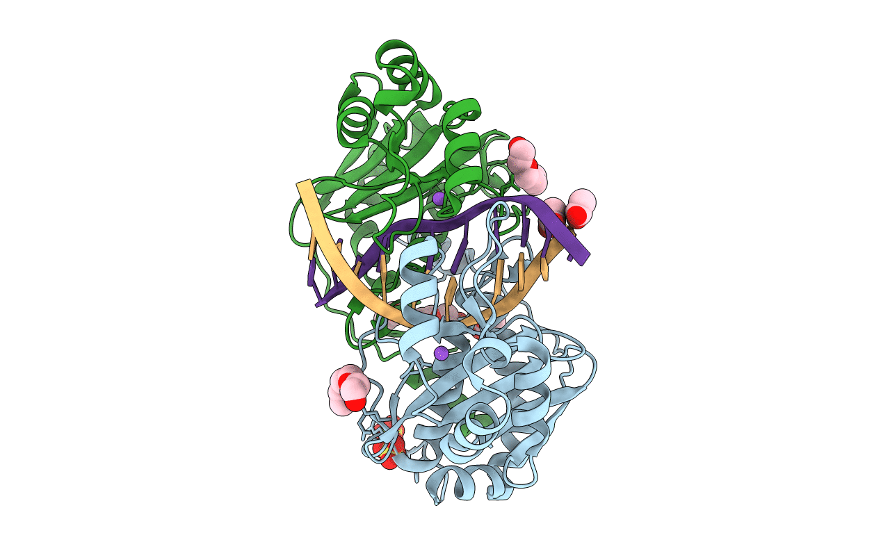 3NDH image
