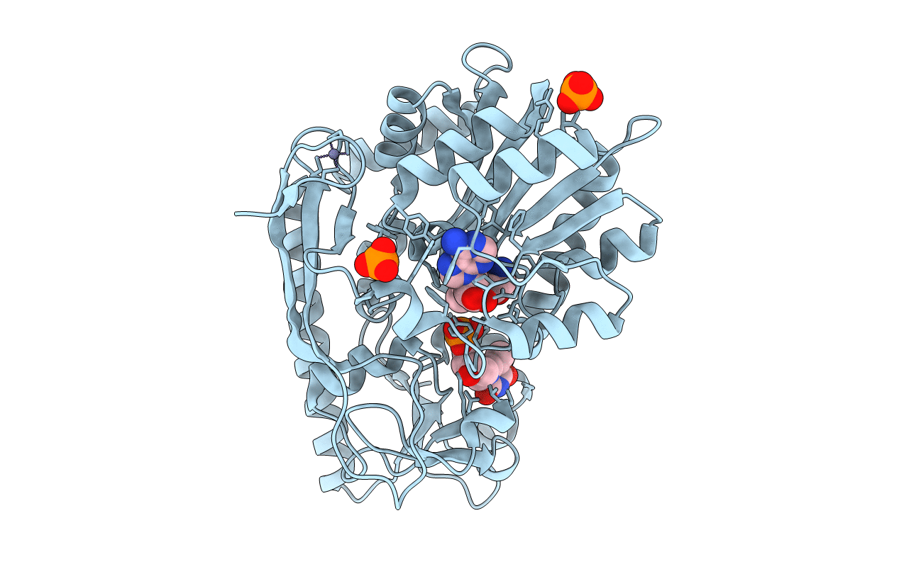 3NDI image