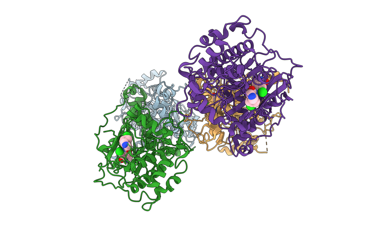 3NDM image
