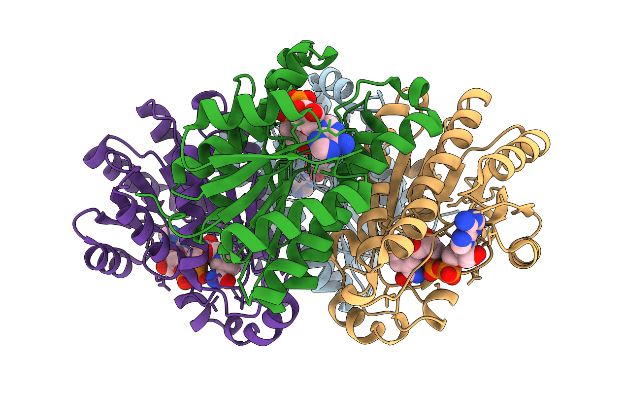 3NDR image