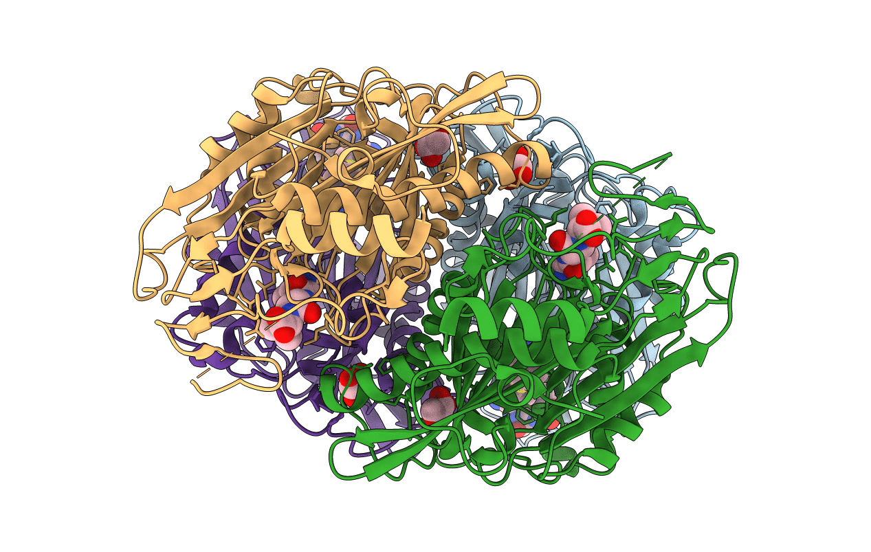 3NDV image