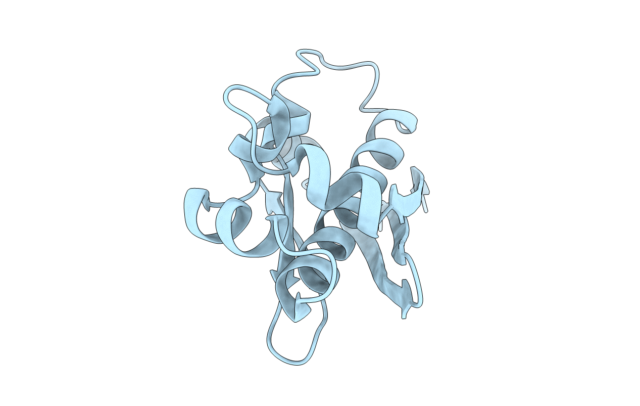 3NE3 image
