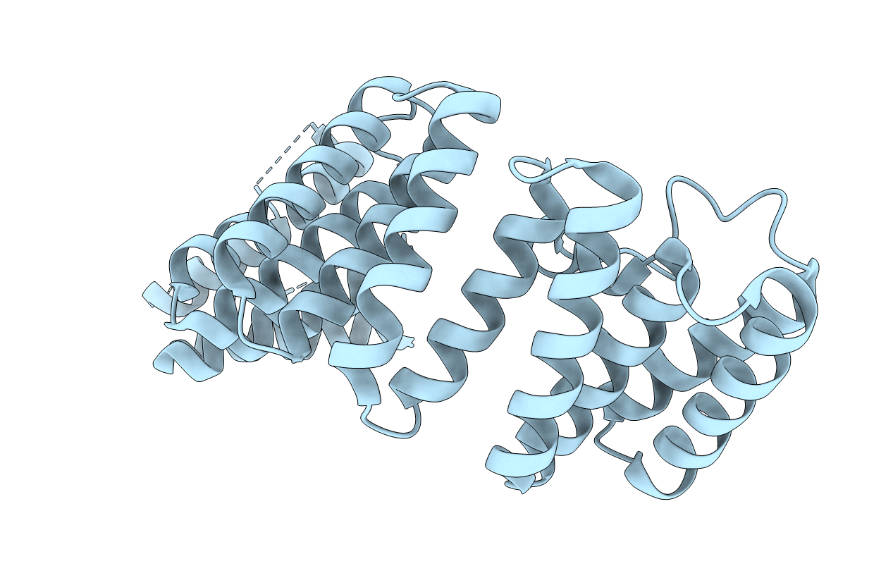 3NF1 image