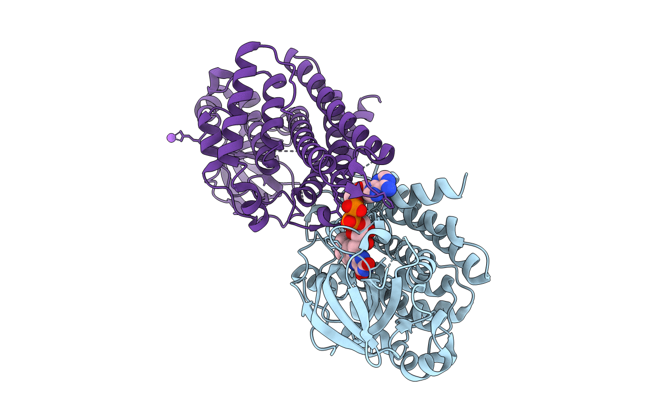 3nf4 image