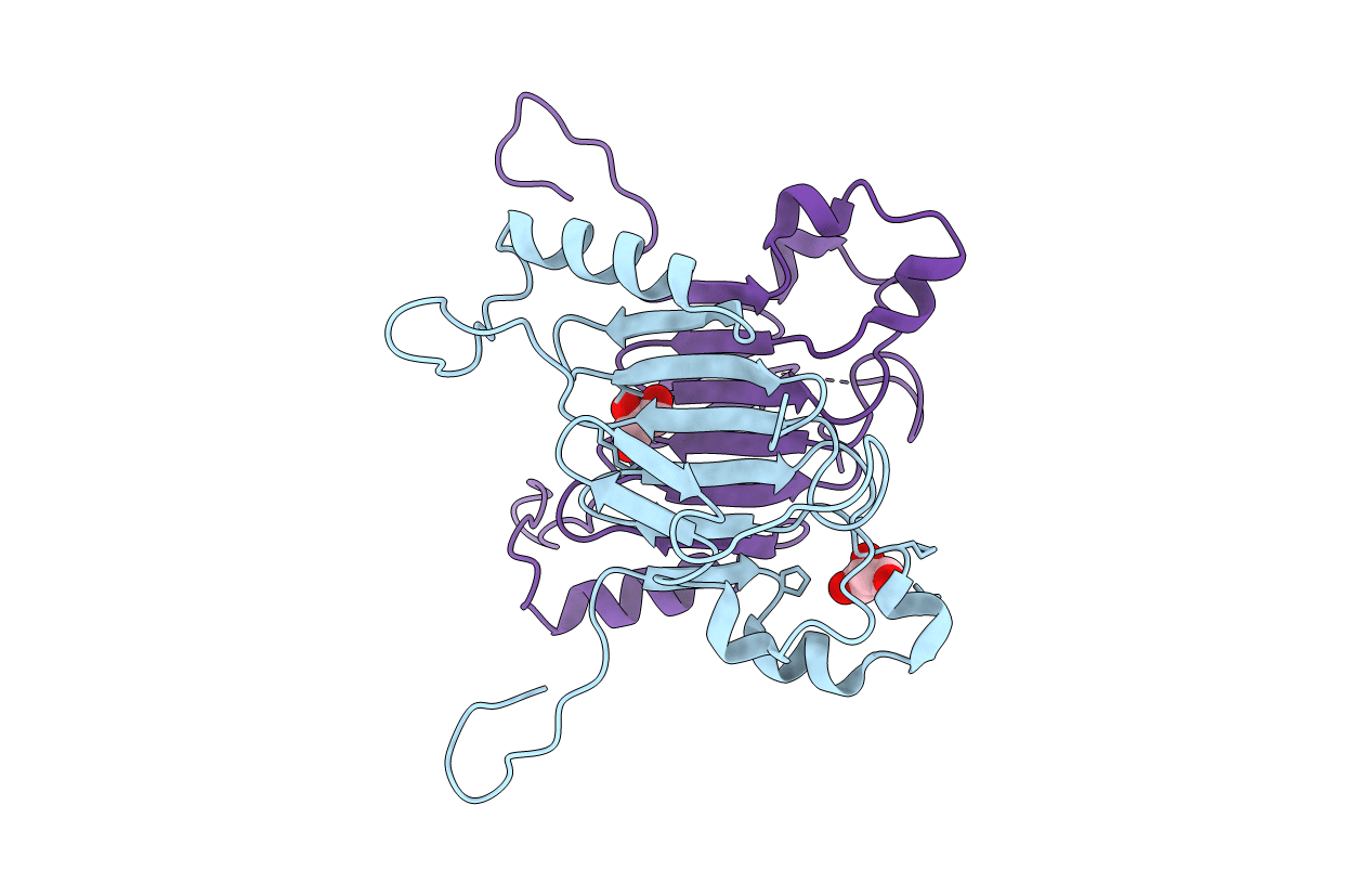 3NF5 image
