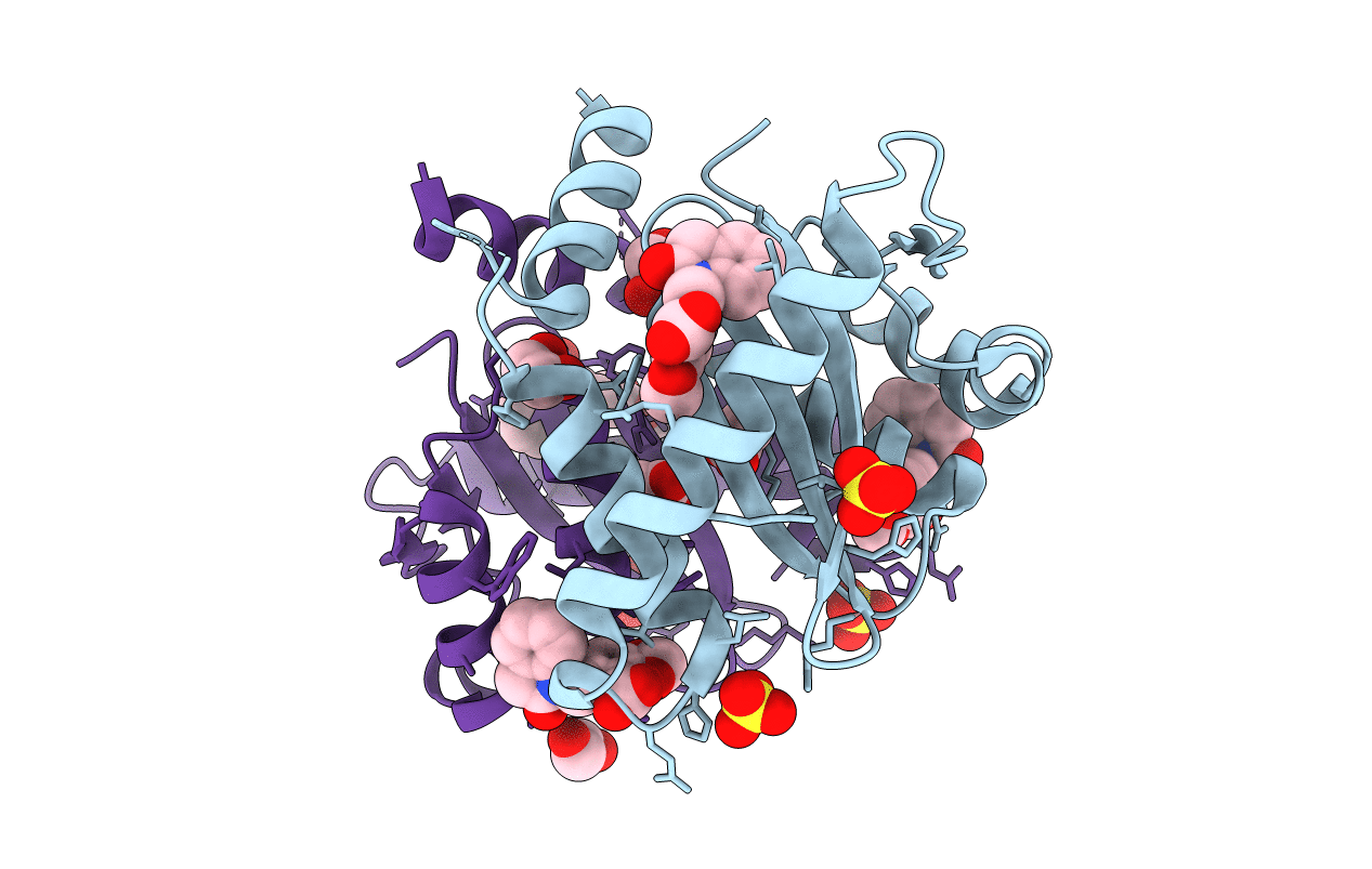 3NF6 image