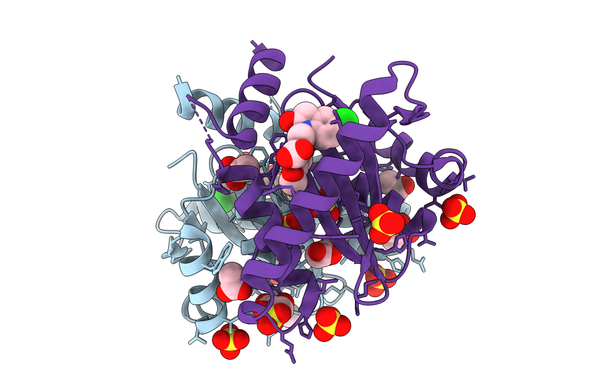 3NF7 image