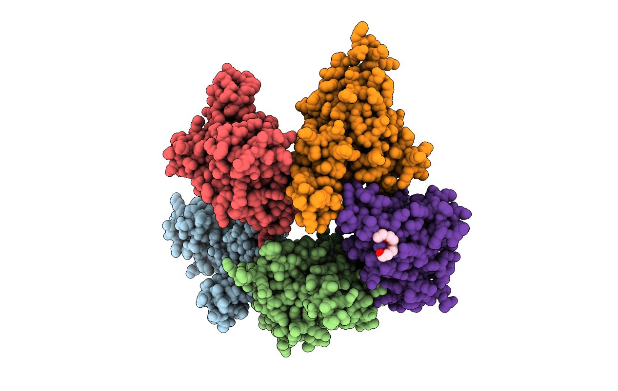 3NFI image