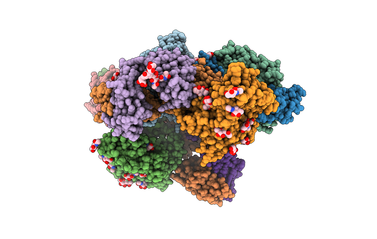 3NGB image