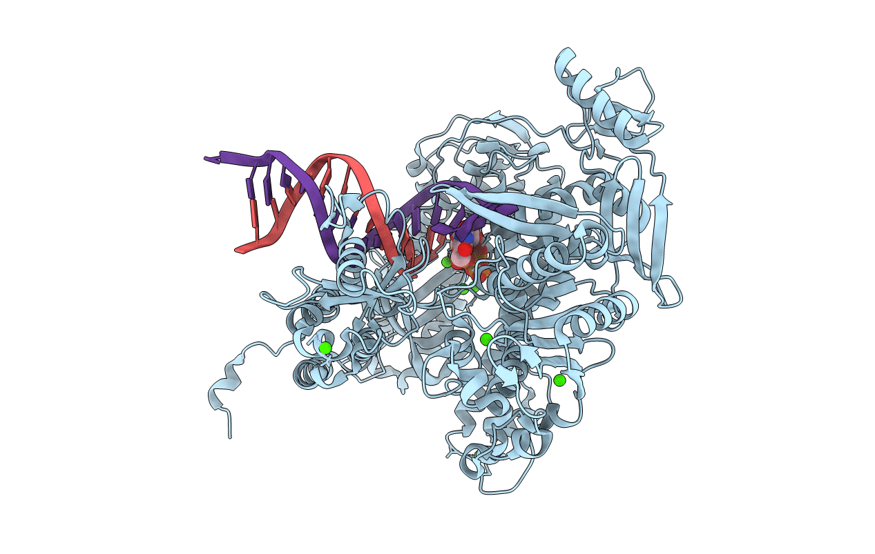 3NGI image