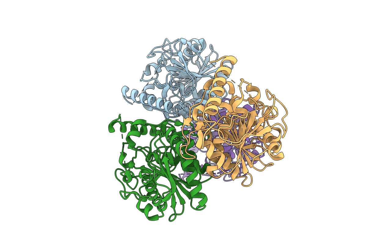 3NGM image