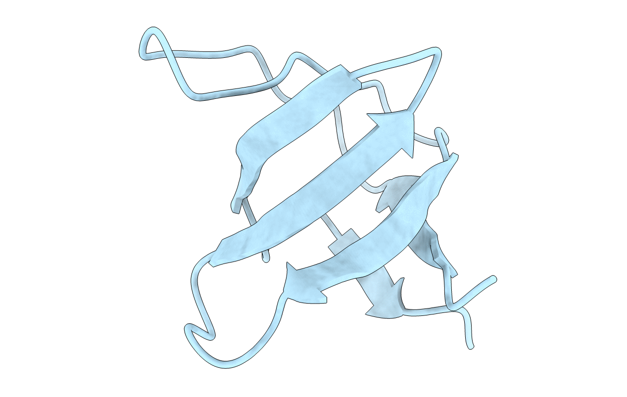 3NGP image