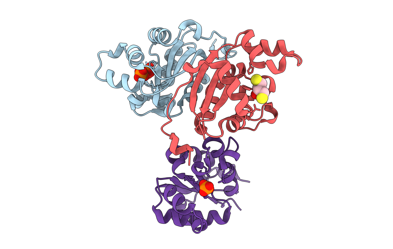 3NGS image