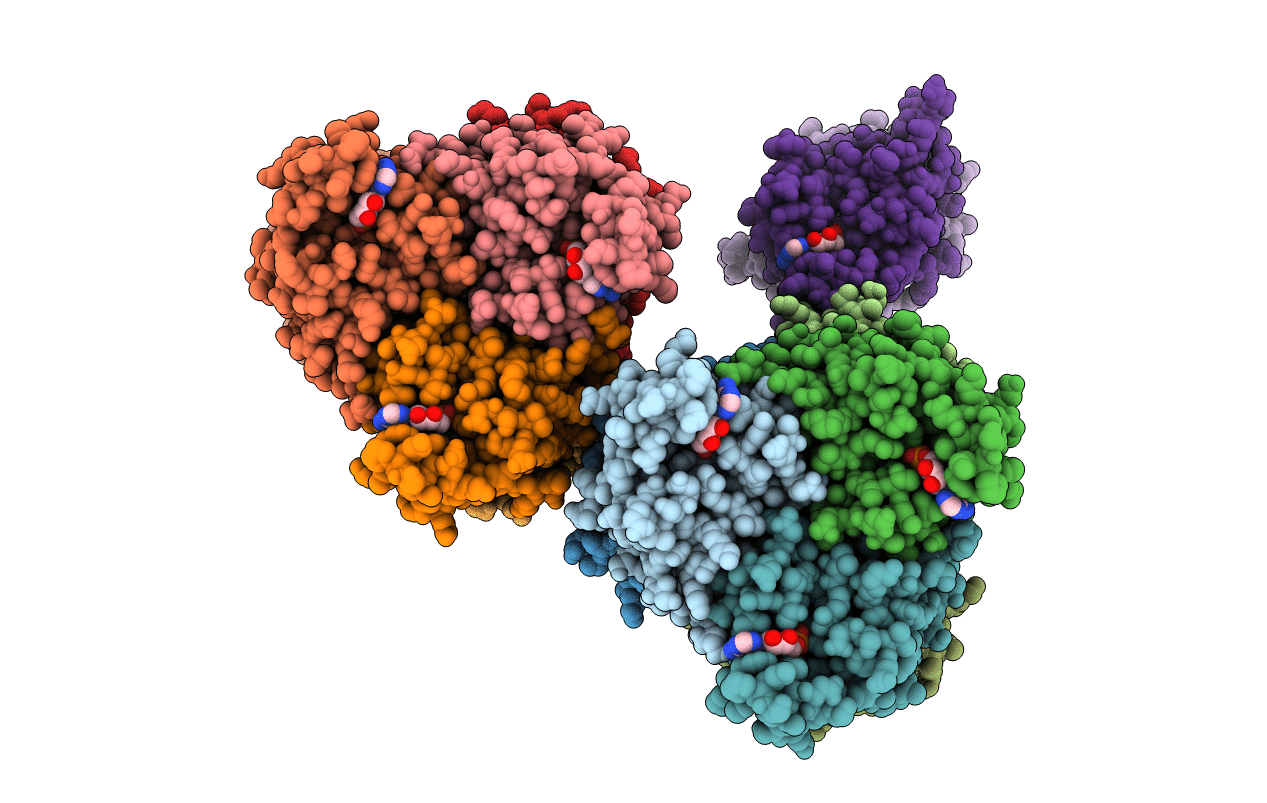 3NGT image