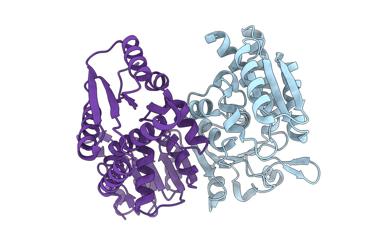 3NGX image