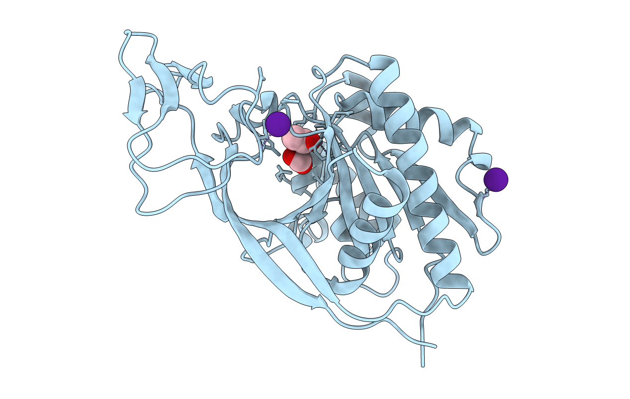 3NH4 image
