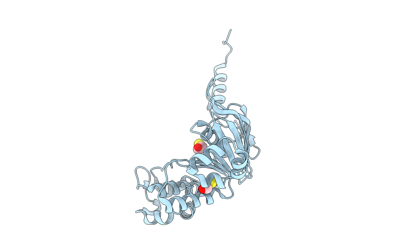 3NH6 image