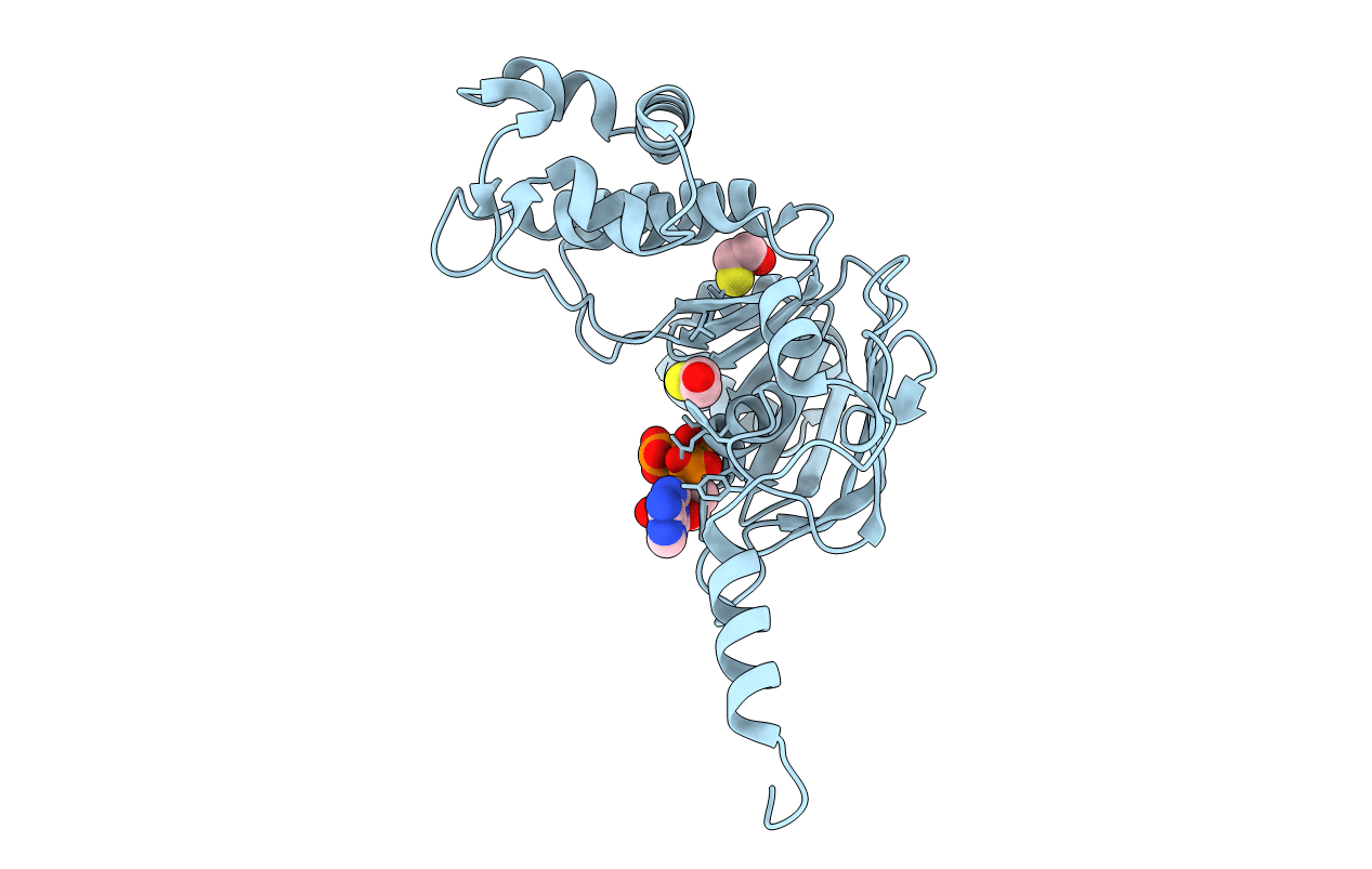 3NH9 image