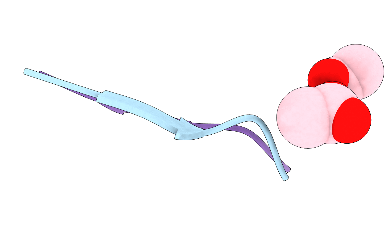 3NHD image