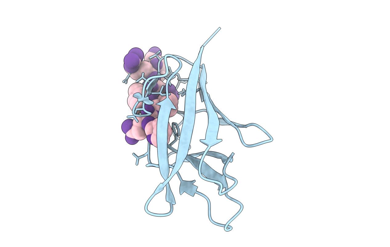 3NJI image